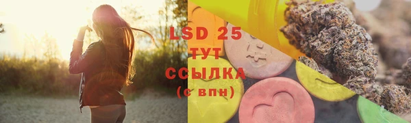 сатива Бородино