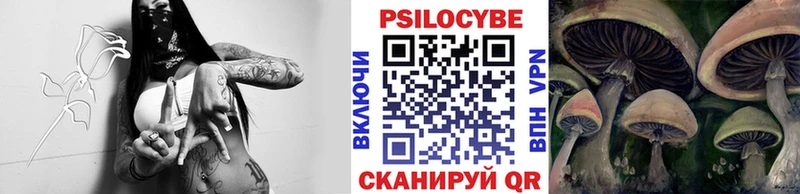 Галлюциногенные грибы Cubensis  Южа 