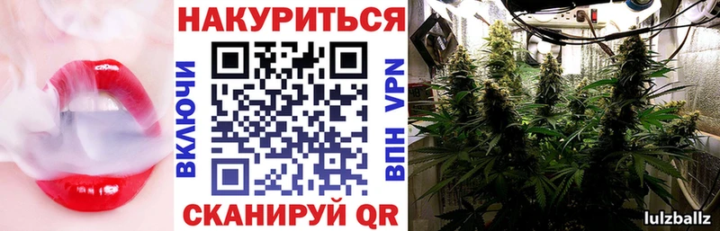 Канабис SATIVA & INDICA Южа